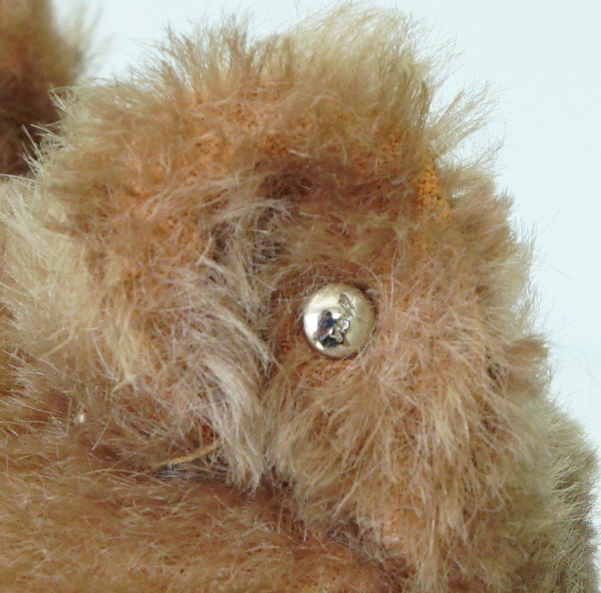 Steiff Giocattoli: Vintage Steiff Teddy, 32cm – Usato da Sissach venduto da glrpmpfk 3