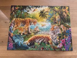 Puzzle Tiger 500 Teile