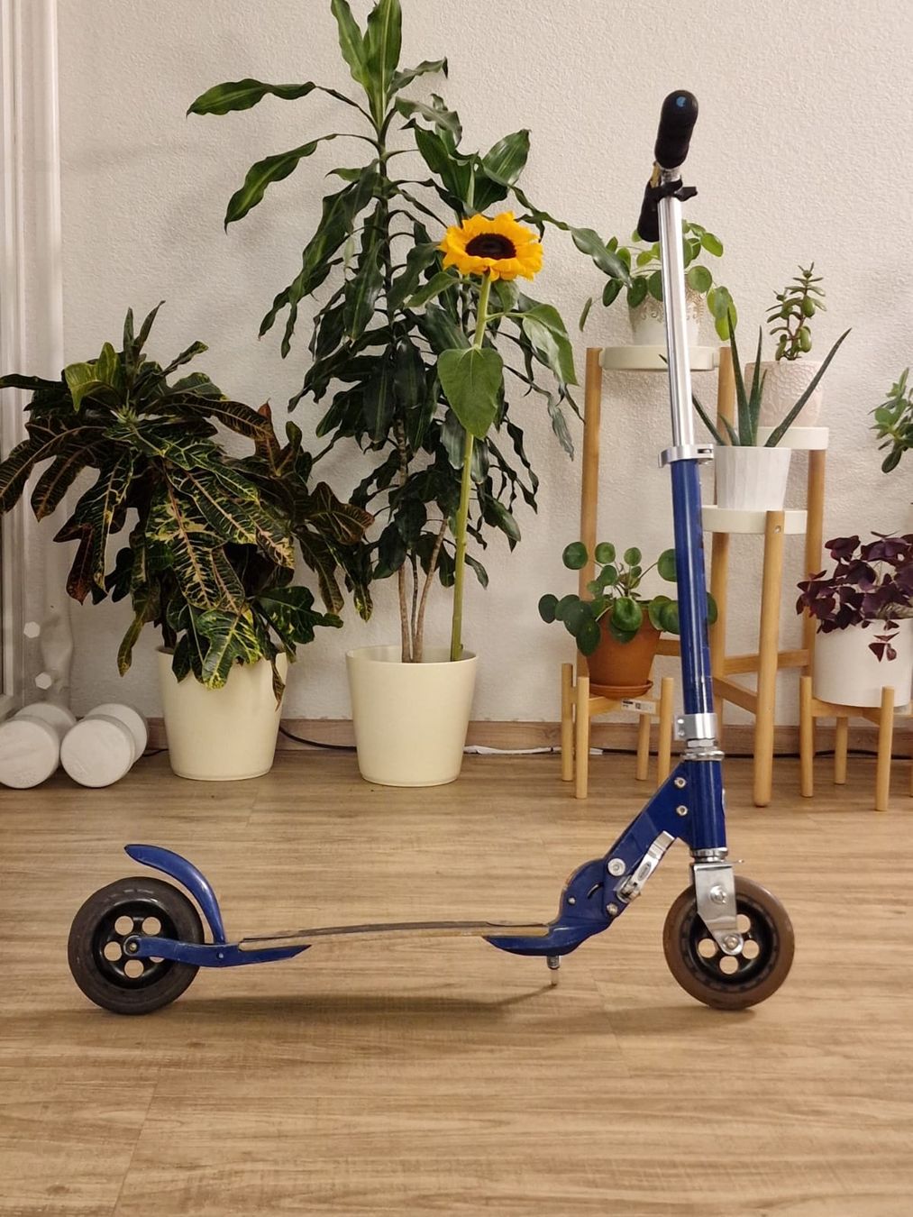 Micro Kickboard: Micro Scooter foldable blue aluminum used condition – Usato da Bern venduto da Klare-Hoffnung 2