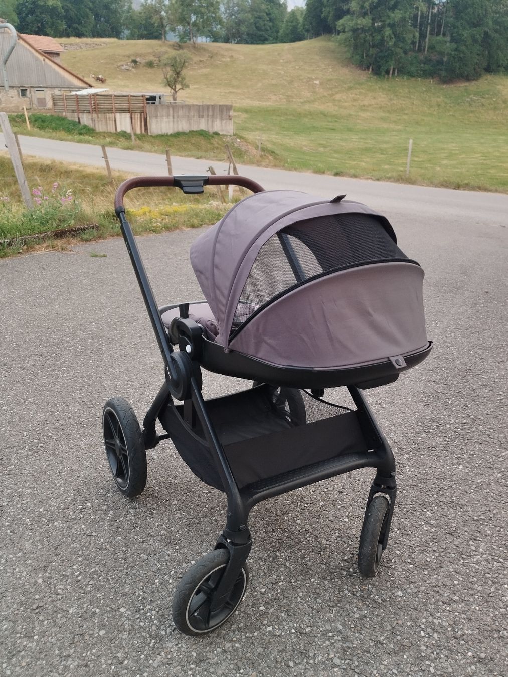 Hauck Carrozzine: Poussette réversible - Hauck Walk N care – Usato da Sciernes-d'Albeuve venduto da gabrielRU 6