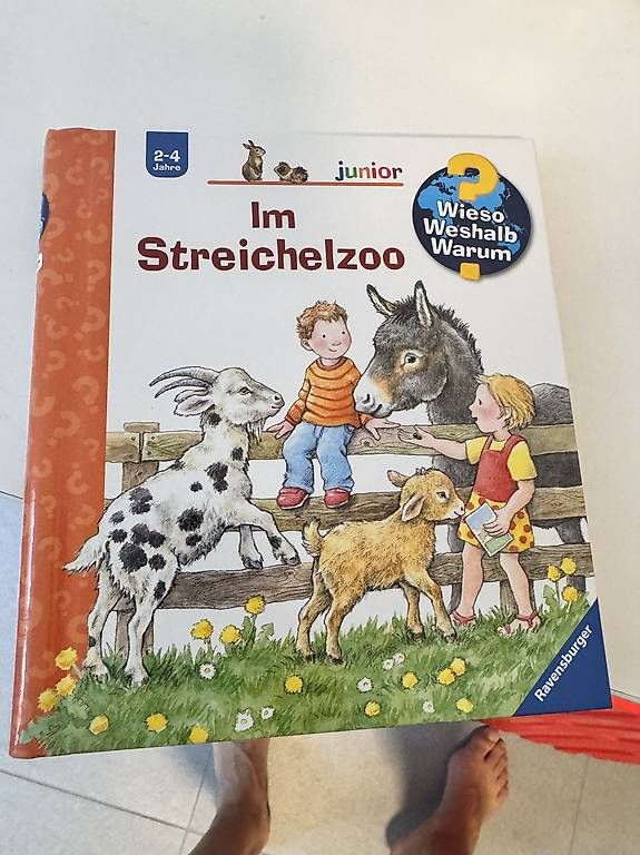 Libri: Tiptoi Im Streichelzoo – Nuovo e nell'imballaggio originale da Solothurn venduto da kaankk