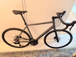 Canyon Endurace 7 RAW | Grösse L | Neuwertig | Shimano 105
