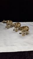 3 handgefertigte Eisbären aus Glas