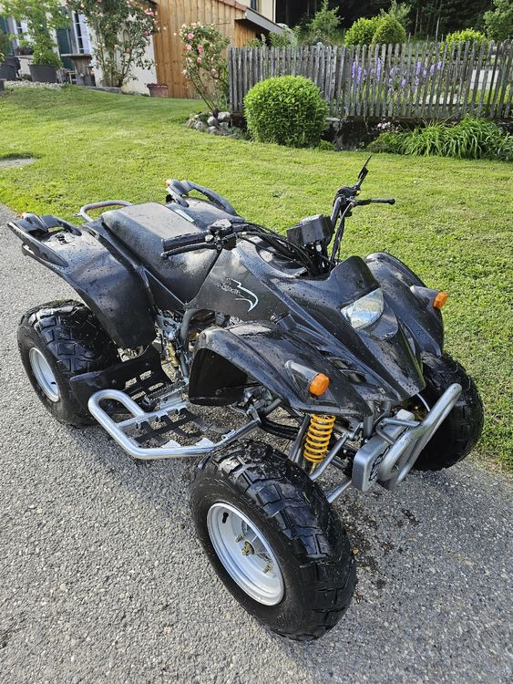Quad (Usato) a Rüttenen per CHF 1700 – solo ritiro | Acquista su Ricardo