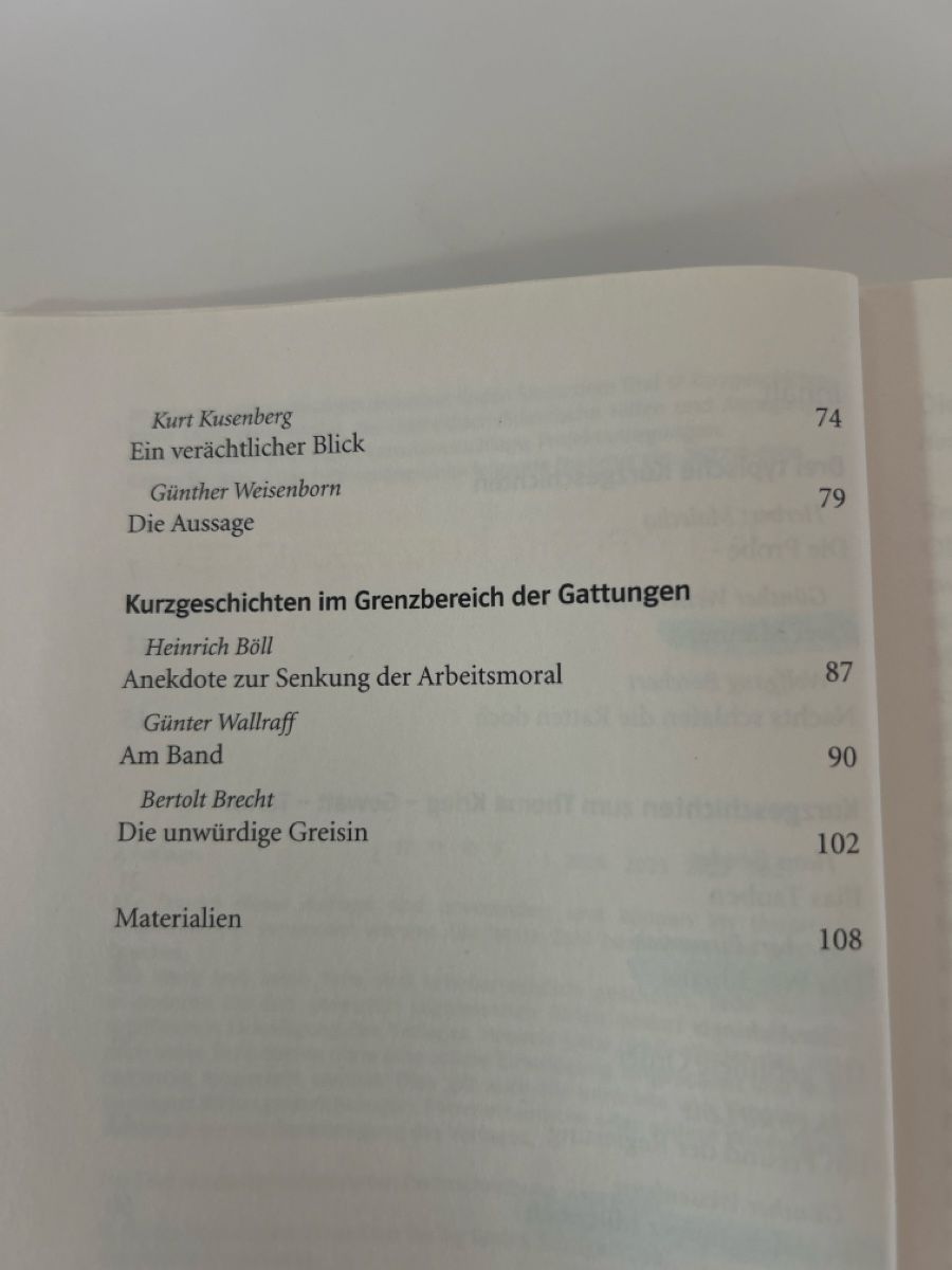 Libri: Siebzehn Kurzgeschichten – Nuovo (secondo la descrizione) da Ins venduto da ile_gtn9 3