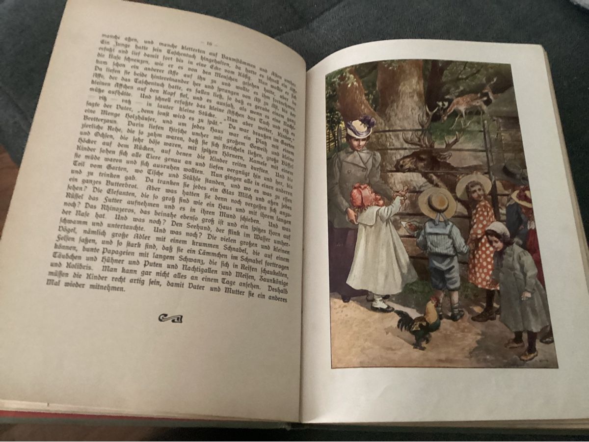 Libri: ANTIKES KINDERBUCH UM 1915 – Usato da Münchenstein venduto da NoSu98 1