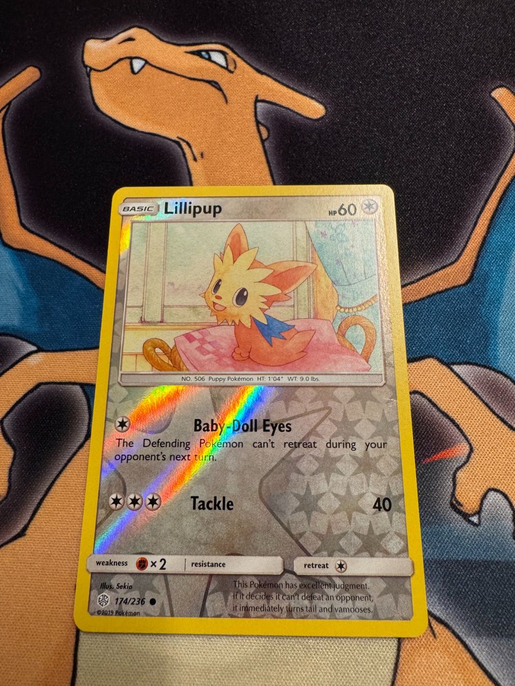 Pokémon Carte collezionabili: Lillipup (CEC 174) - Reverse Holo - Cosmic Eclipse – Nuovo (secondo la descrizione) da Bülach venduto da Pfrenzel