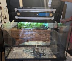 Aquarium 126 Liter – guter Zustand