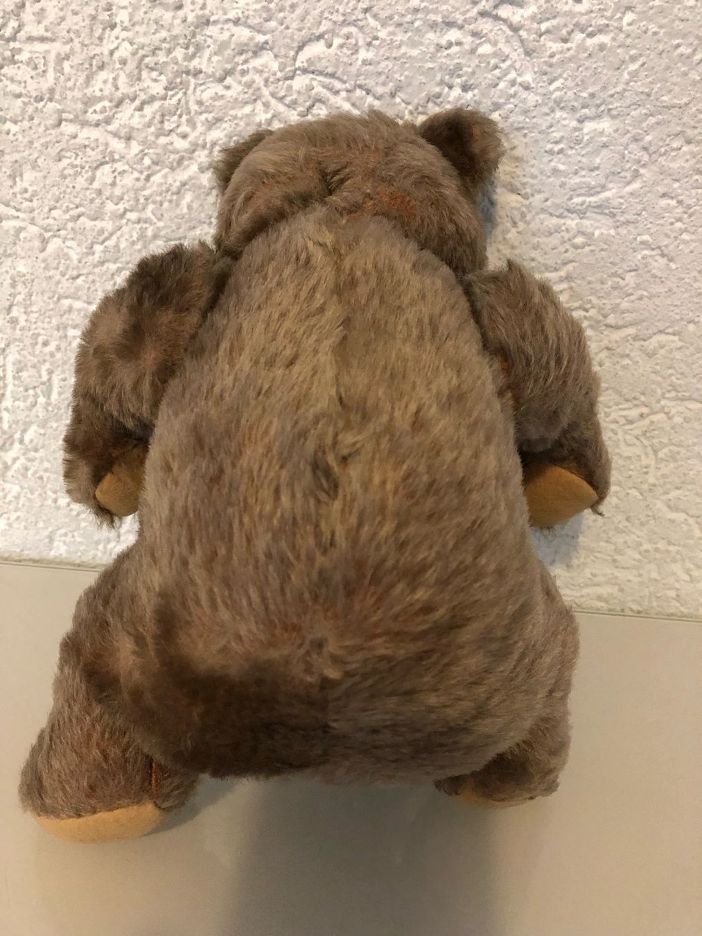 Steiff Giocattoli: Steiff Bär 50er- / 60er-Jahre – Usato da Gümmenen venduto da Ug6 3