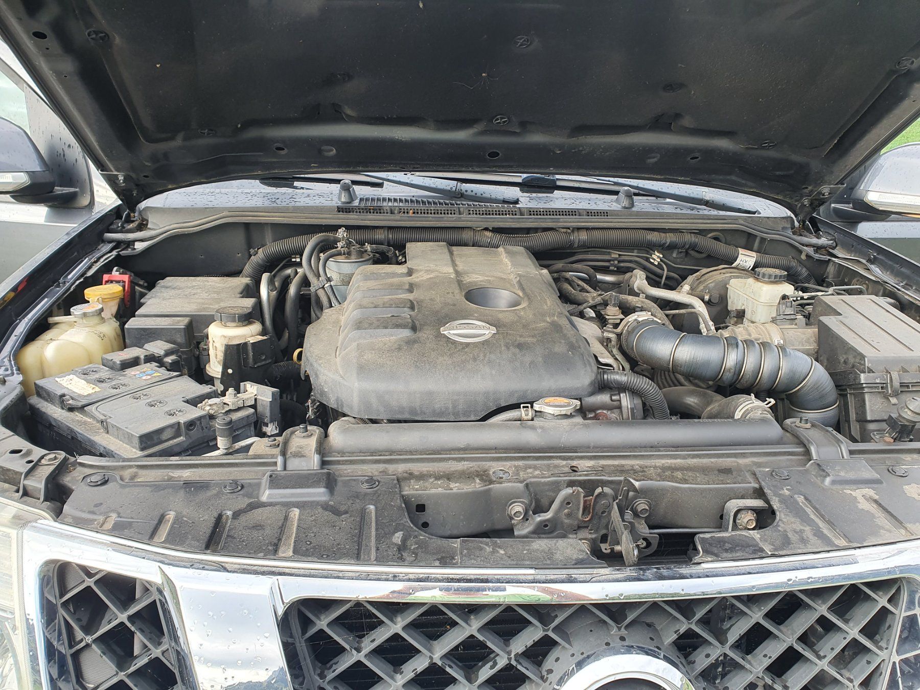 Nissan Autos: Nissan Pathfinder – Gebraucht aus Brülisau von Dahlien8 5