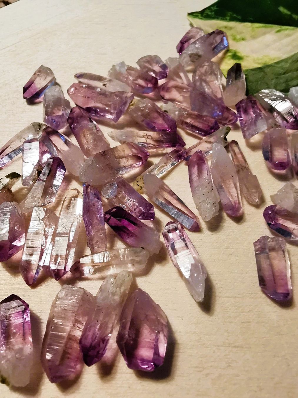Minerali & Pietre curative: 1-2cm natürlich Amethyst-Kristall Spitzen – Nuovo e nell'imballaggio originale da Dierikon venduto da Buntspecht-10 3