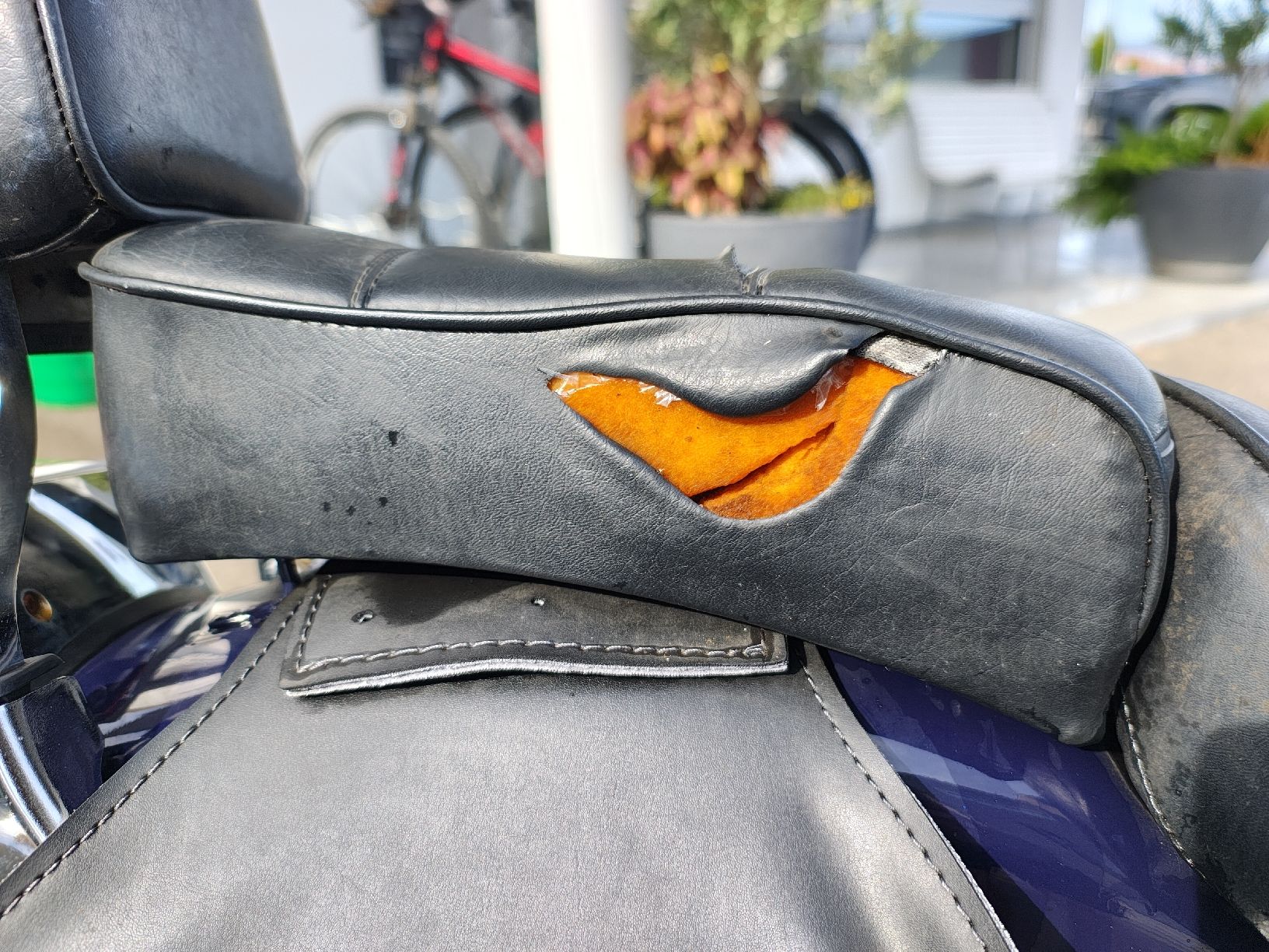 Suzuki Chopper: Suzuki Savage 650ccm – Difettoso da Bolligen venduto da JBCM 7