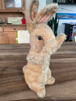 Plüschtier Hase alt für Sammler ev Steiff