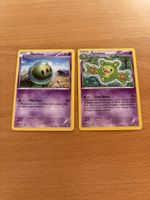 2 Pokemon Karten