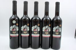 5x Merlot Veneto Gotthard 2024 - Rotwein (26082069Z)