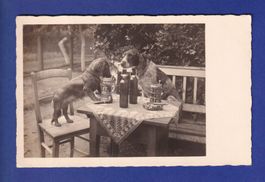 CHIEN - Santé ! / HUND - Prosit !
