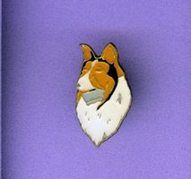Hunderasse  Collie