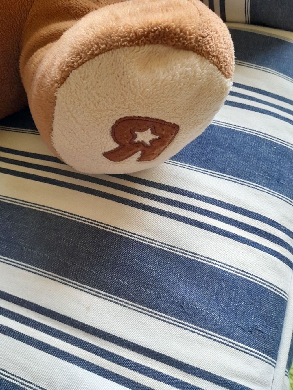 Spielzeuge: Teddybär von ToysRus – Gebraucht aus Nesslau von Churfirsten08 1