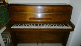 Pianoforte Knight
