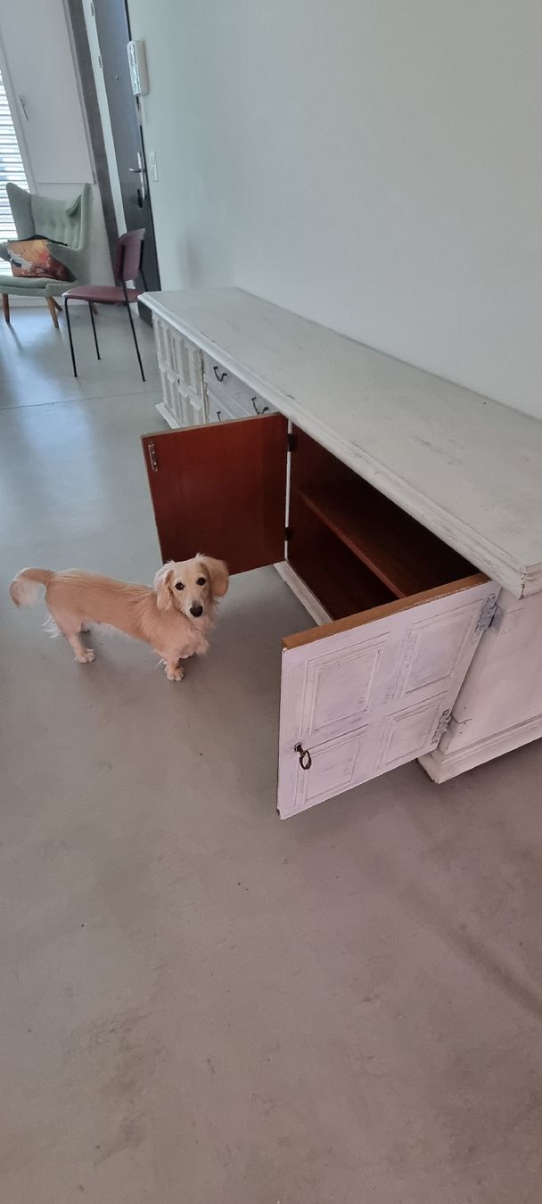 Lavagne: Sideboard 2m50x50x63 – Usato da Zürich venduto da MadeleineNorlindh 3