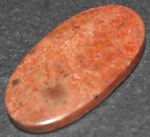 Cabochon L-8261 – Versteinertes Holz 21x13mm