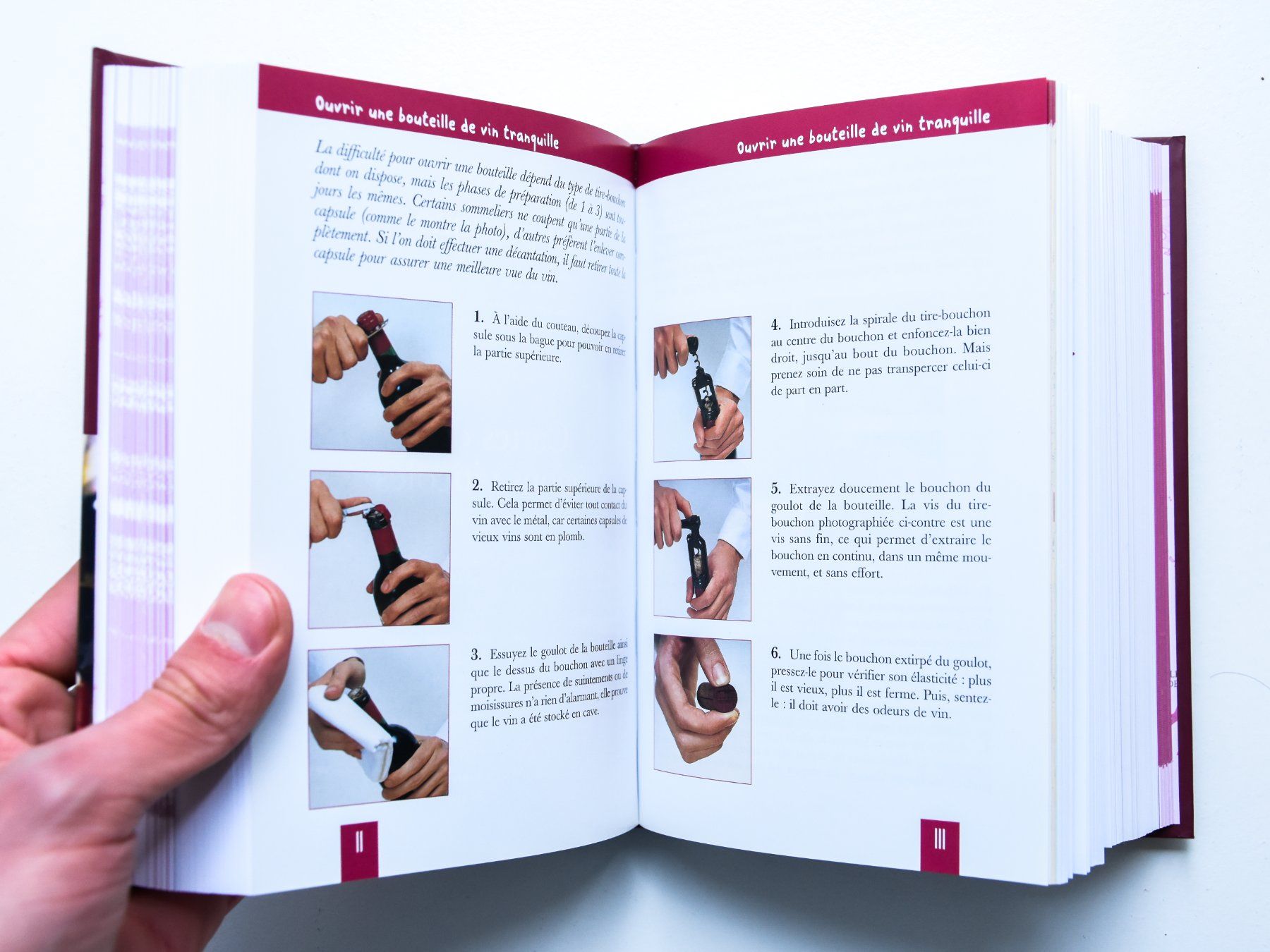 Libri: Le Petit Larousse des Vins – Nuovo (secondo la descrizione) da Belmont-sur-Yverdon venduto da bichet02 4