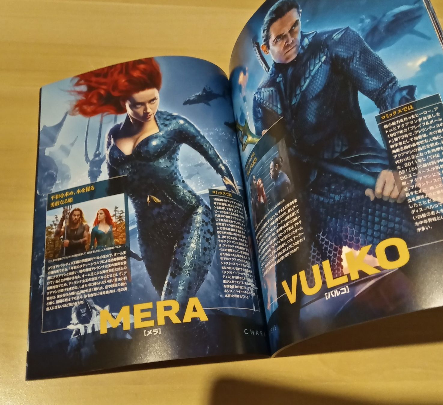 Bücher: AQUAMAN Japan Buch Film Programm – Neu (gemäss Beschreibung) aus Schaffhausen von Dc_collector_99 1