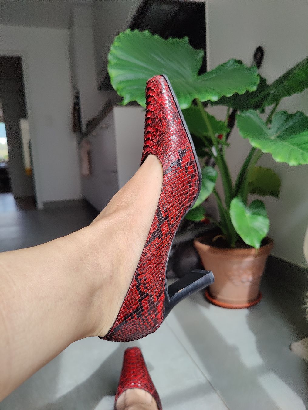 Damenschuhe: Vintage 90's Lorbac Red Python Leather Shoes Heels, Size 39 – Gebraucht aus La Tour-de-Peilz von dAutrefois 3