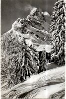 AK BRAUNWALD ORTSTOCK- SCHNEE