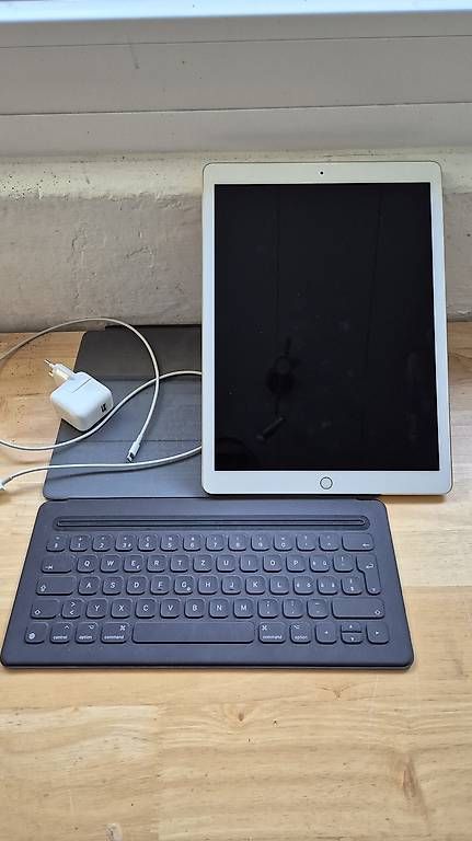 Tablettes PC: iPad Pro 2. Generation – D'occasion à Unterentfelden par Isi_86 2