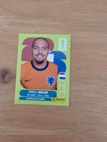 Panini Fifa NED 18