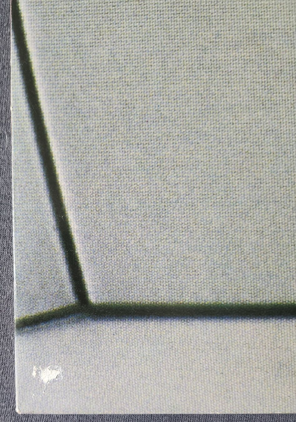 Dischi in vinile: Grauzone Träume mit mir 12" Maxi 1982 Off Course – Usato da Zürich venduto da BAENZERINO 4