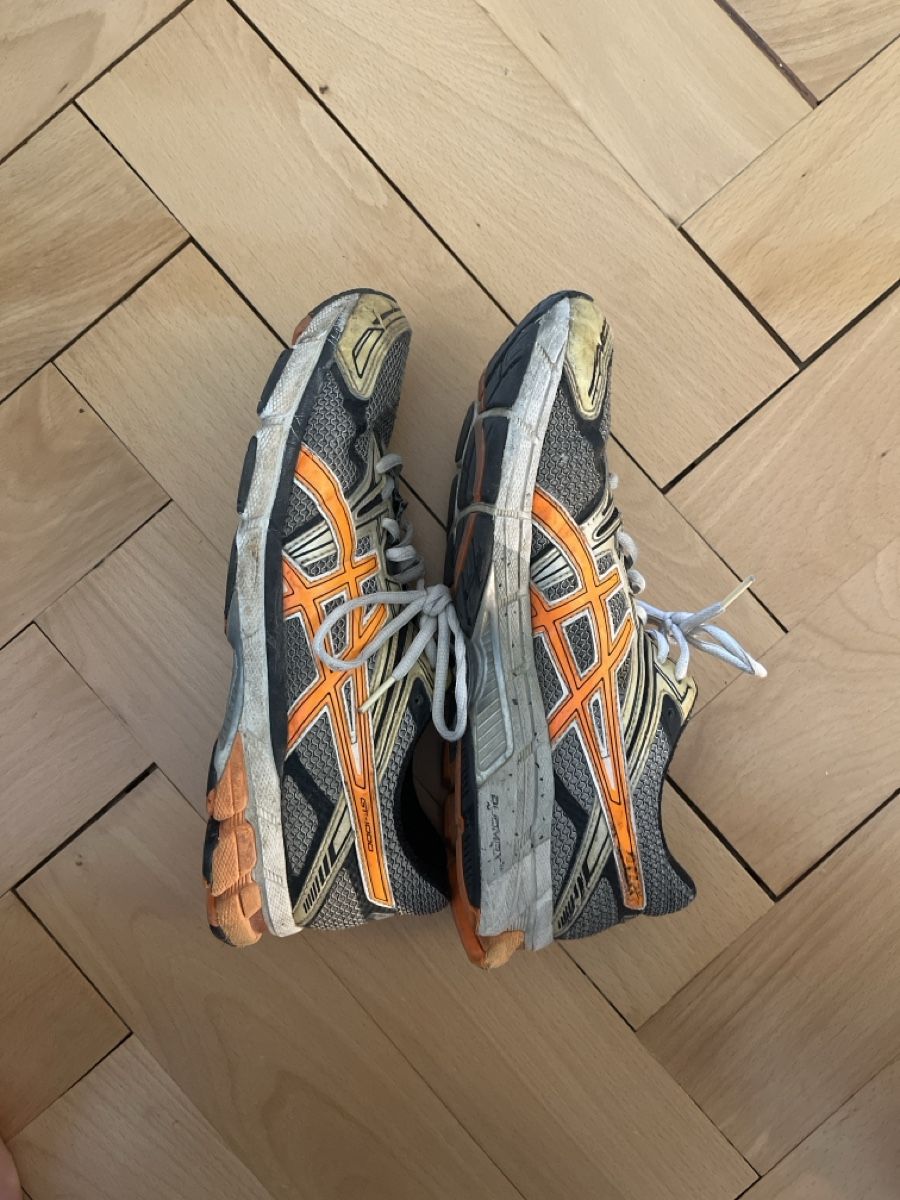 Asics Herrenschuhe: Asics GT-1000 43.5 – Gebraucht aus Zürich von molchomagnolia 2