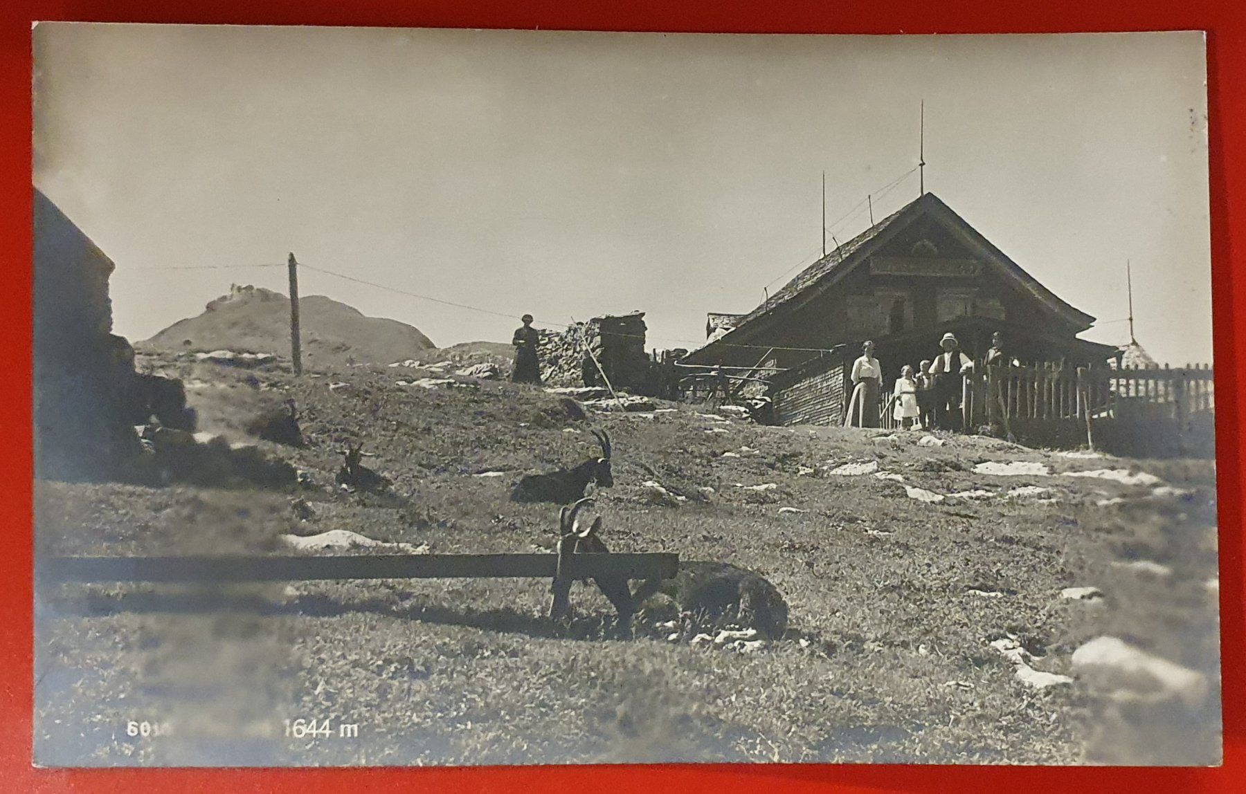 Cartoline postali: Gasthaus Ebenalp - belebt – Usato da Kreuzlingen venduto da Rschweiz1