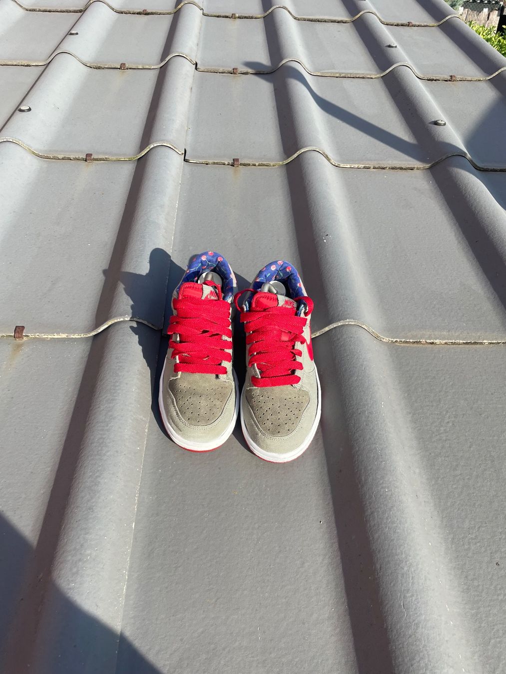 Nike Scarpe da uomo: Nike Dunk – Nuovo (secondo la descrizione) da Dompierre FR venduto da matmath 2