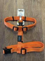 Hundegeschirr Rogz Fanbelt orange Grösse Large neu