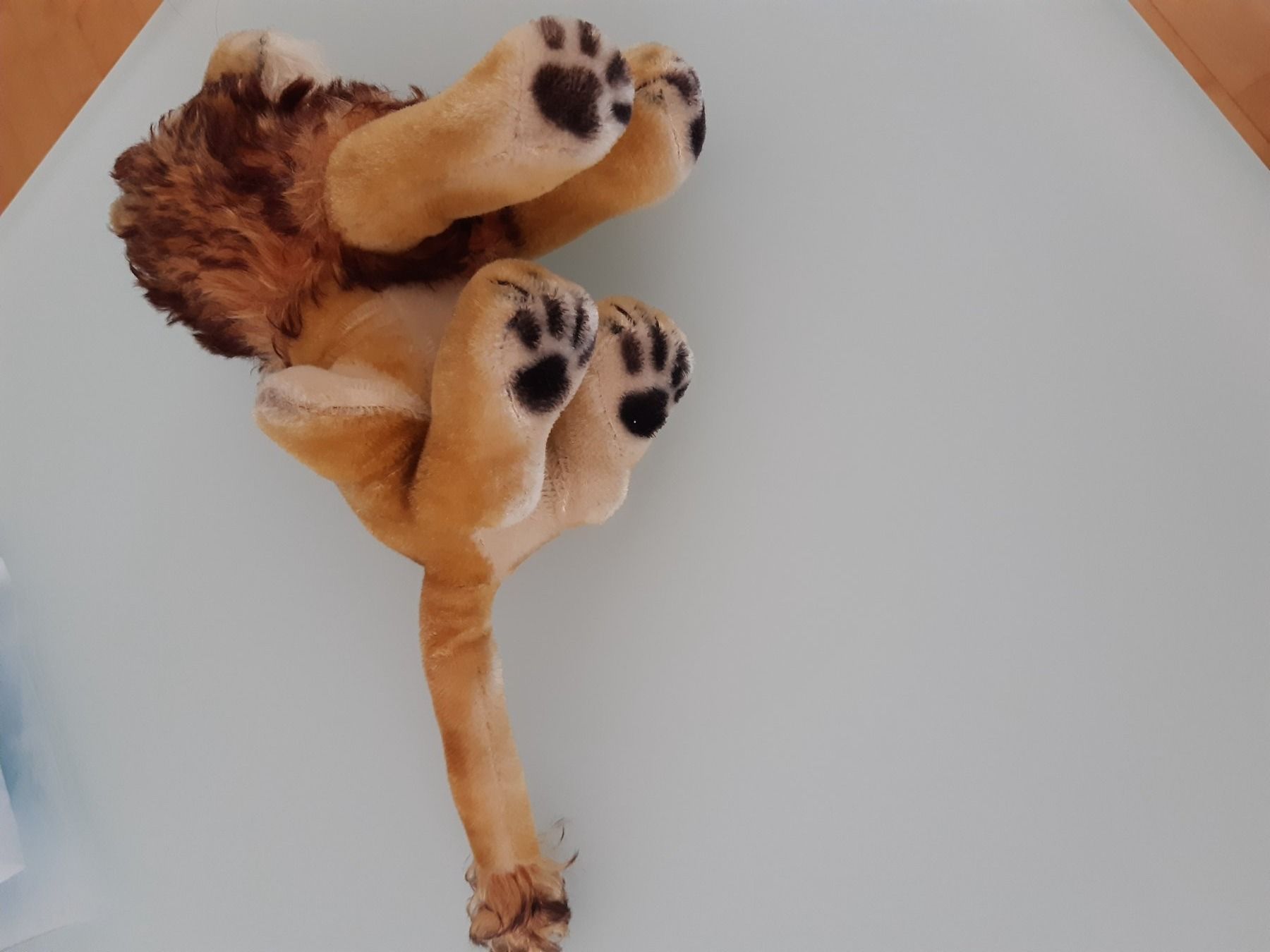 Steiff Jouets: steif – D'occasion à Altstätten SG par Gartenmeister60 1