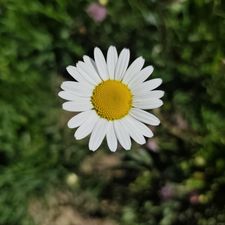 Profile image of _Bergverliebt_