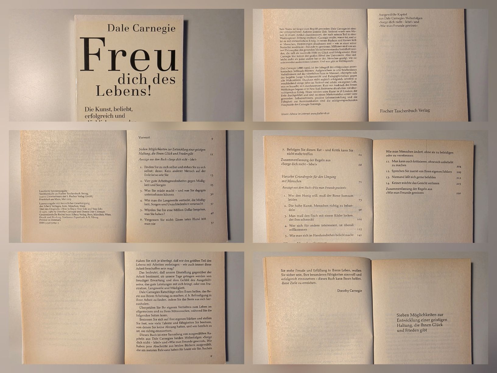 Libri: 7 Lebenshilfe-Bücher – Usato da Oberdorf SO venduto da julian027 3