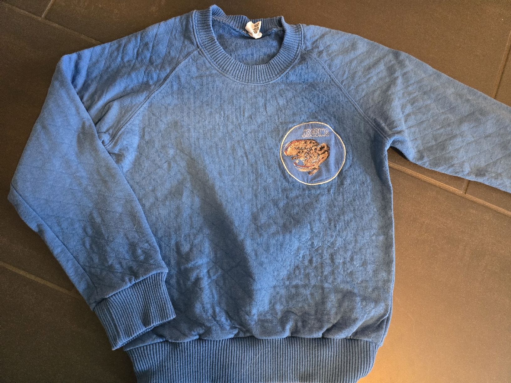Pulls et sweat-shirts: Jogging-Pullover Gr.128-134 – D'occasion à Unterentfelden par Panda-87