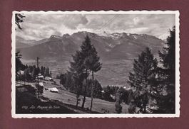 LES MAYENS de Sion
