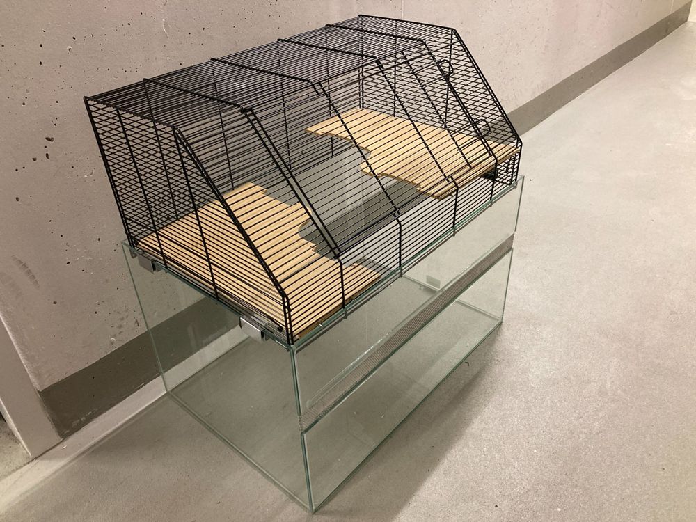 Hamsterkafig Aus Glas