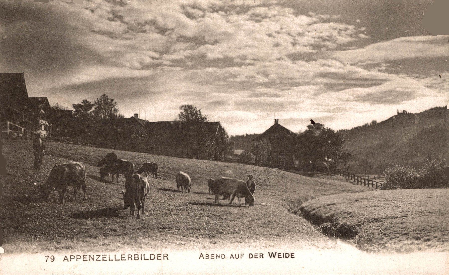 Cartoline postali: Appenzellerbilder. Abend auf der Weide – Usato da Bronschhofen venduto da Astore
