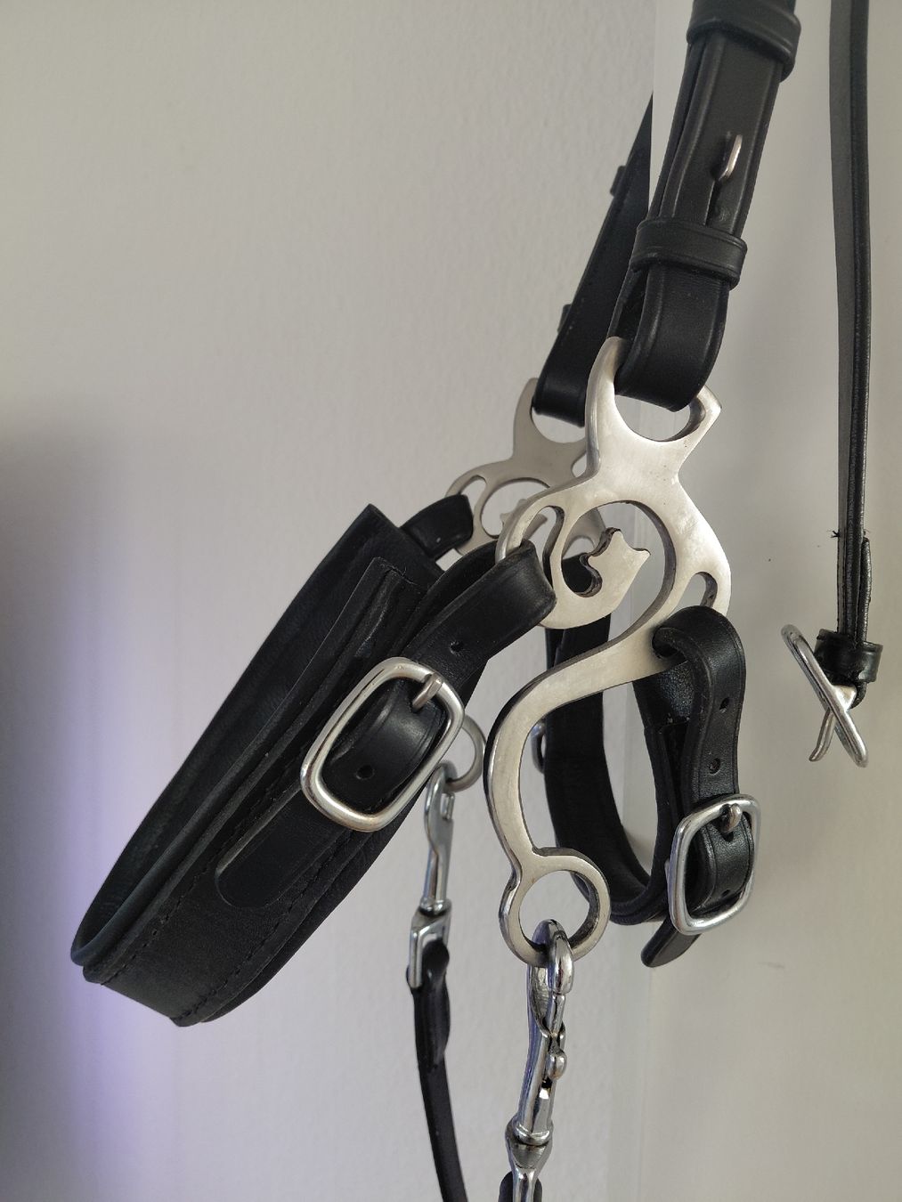 Briglie & Cavezze: Gebissloser Zaum XF – Usato da Windisch venduto da stiiine 3