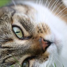 Profile image of Aylon
