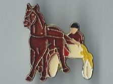 Pferd Sulky Fahrer, Pin