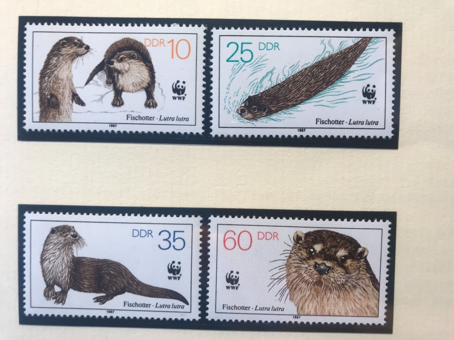 Tutti i francobolli: WWF DDR 1987 Fischotter Satz postfrisch – Nuovo (secondo la descrizione) da Liestal venduto da schnueps