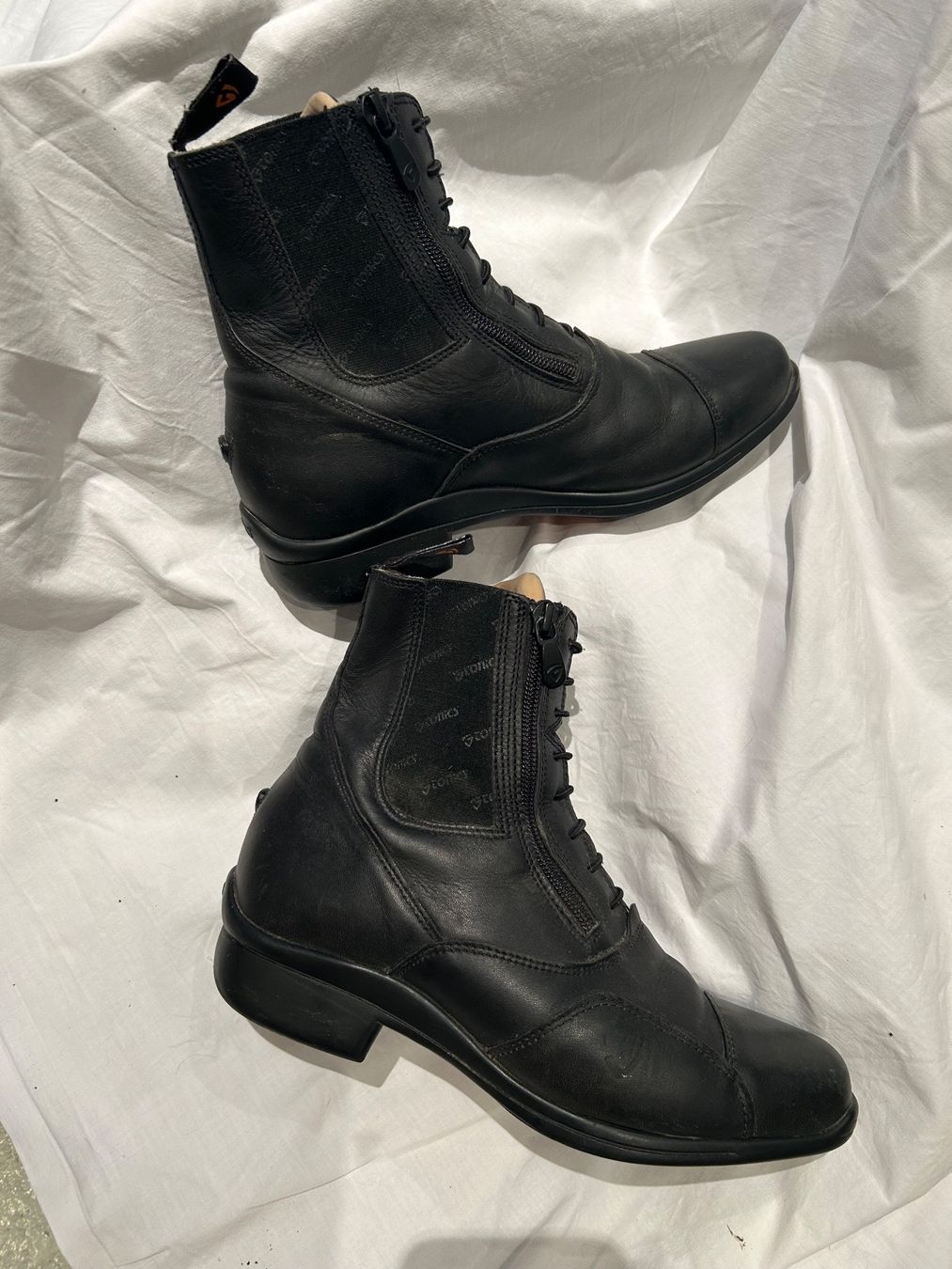 Reitstiefel & Stallschuhe: Bottine – Gebraucht aus Hohenrain von