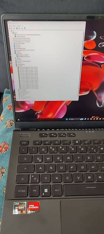 Asus Notebook: Asus Rog Zephyrus G14 – Usato da Niederbuchsiten venduto da machinegunpreacher 2