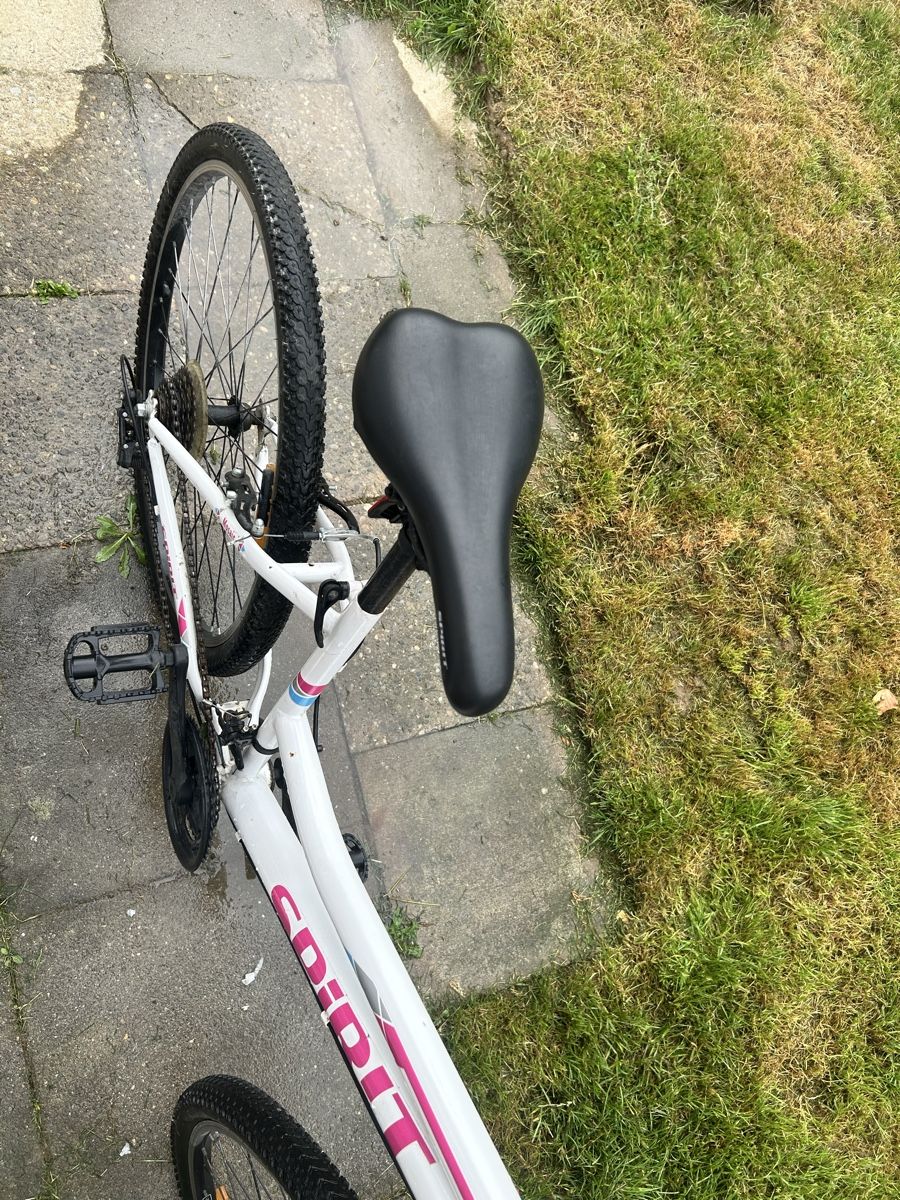 Biciclette: Fahrrad  – Usato da Eschenbach SG venduto da lir_sg7n 2